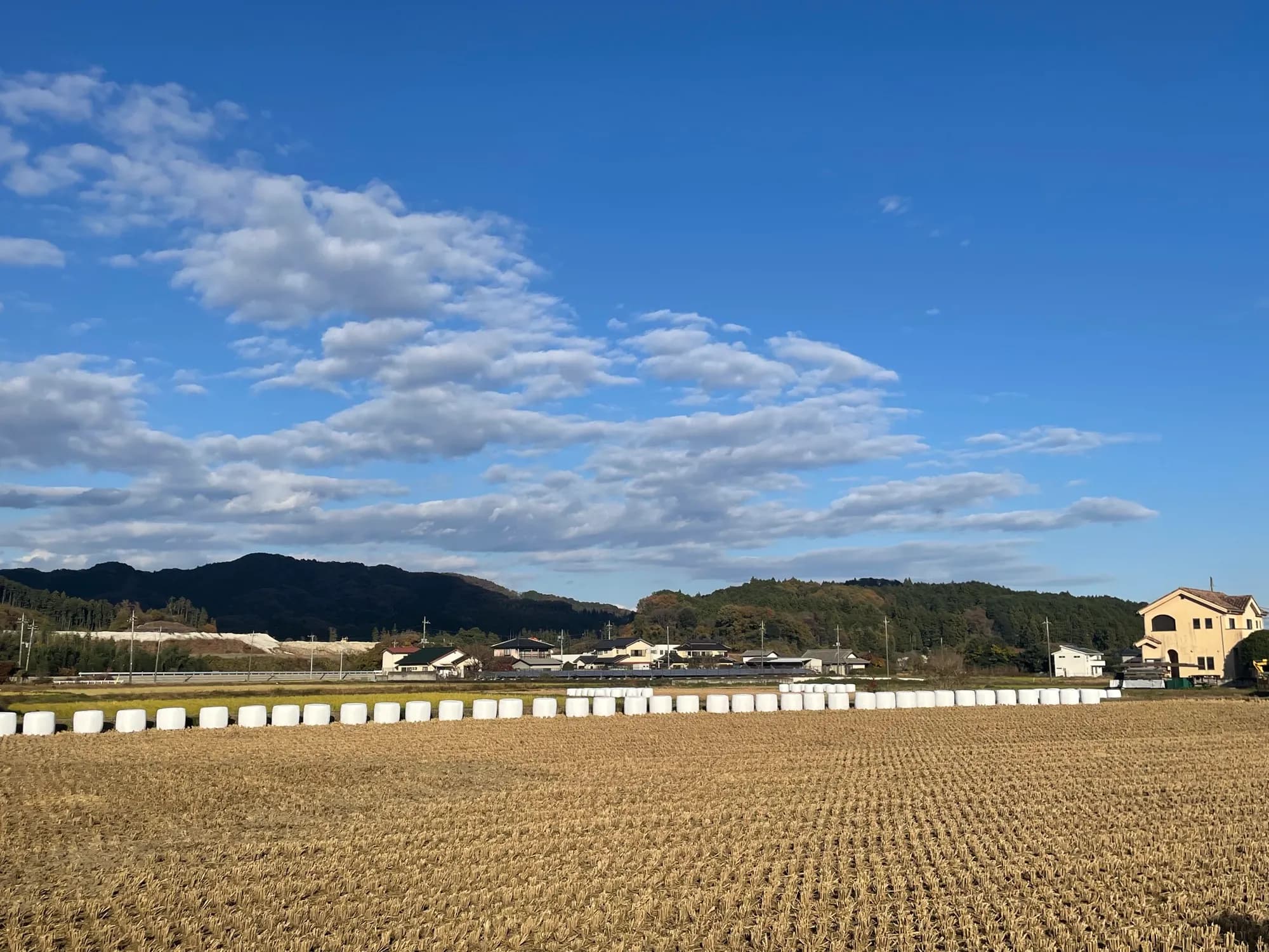 お出かけや旅行に