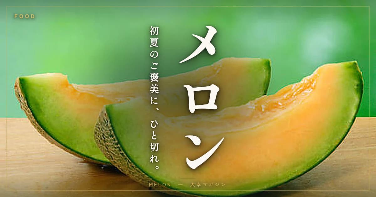 犬にメロンはあげていい?初夏のご褒美にする正しい与え方と適量