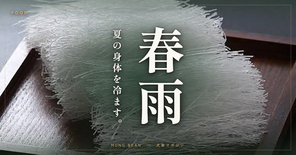 犬に春雨はあげていい?緑豆春雨の適量と与え方・夏の水分補給